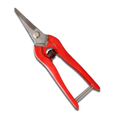 Cisaille polyvalente de 160 mm pour couper le fil électrique et le cuir
