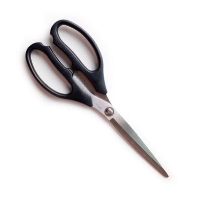 Ciseaux de taille de jardin multifonctionnels pour plantes Ciseaux à fleurs de jardin