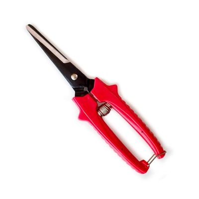 Multi-tâches Petite taille de jardin Snips fleuriste droit Ciseaux Ciseaux