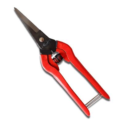 Sécateur de jardinage en acier SK5, léger