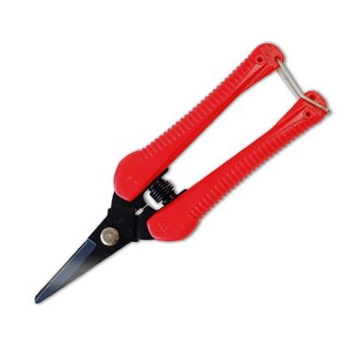 SINSEUNG P4 Manche en plastique SK5 Ciseaux en acier à haute teneur en carbone
