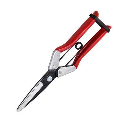 SINSEUNG X1 Ciseaux à outils Ciseaux à oignons Mousse et structure ambidextre