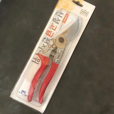 SINSEUNG SB900 Outils de jardinage Ciseaux de jardin pour tailler les arbustes de fleurs Rose et arbre fruitier