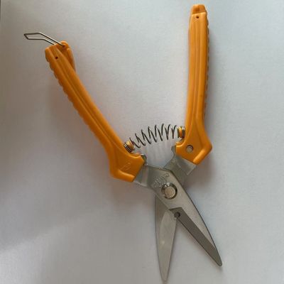 Ciseaux de bureau ergonomiques avec carton à ampoules
