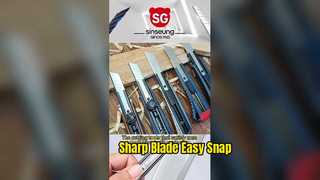 260114-1 VIDÉO SINSEUNG